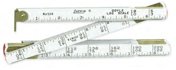 Doyle Log Scale